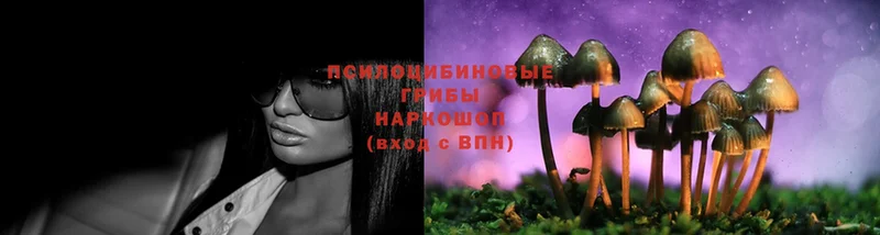 Псилоцибиновые грибы MAGIC MUSHROOMS  shop состав  Кисловодск 